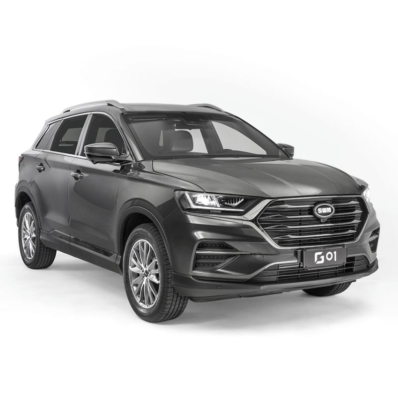 14 Nuova SWM G01 - immagine 1